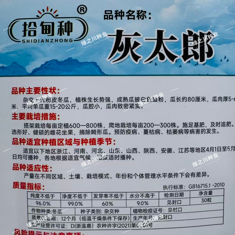 灰太郎冬瓜种子杂交一代粉皮冬瓜种子肉厚致密粉冬瓜种籽