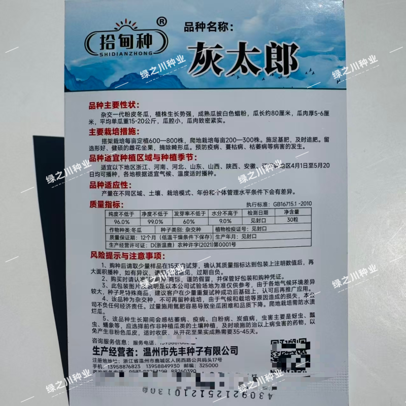 灰太郎冬瓜种子杂交一代粉皮冬瓜种子肉厚致密粉冬瓜种籽