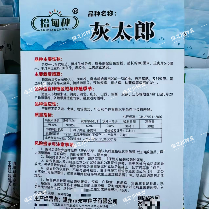 灰太郎冬瓜种子杂交一代粉皮冬瓜种子肉厚致密粉冬瓜种籽