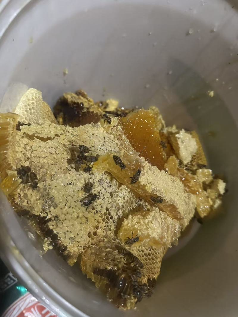 纯土蜂蜜