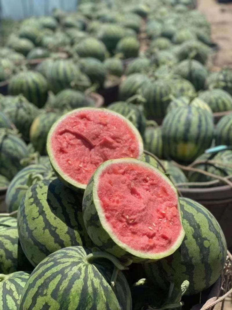 无籽麒麟美都西瓜皮毛干净糖度高产地直发保质保量