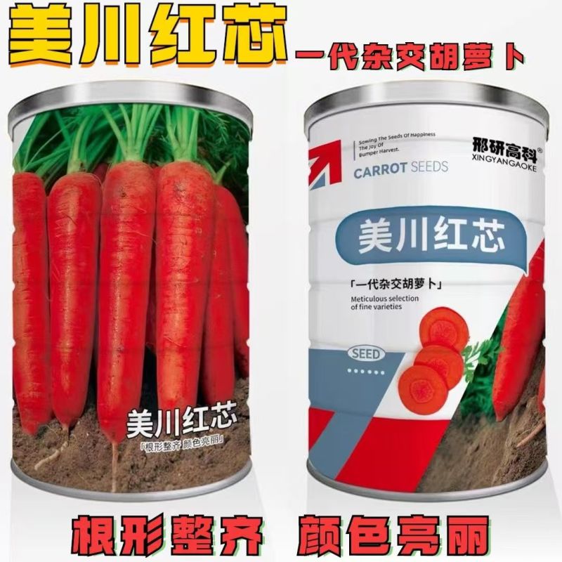 美川红芯水果型胡萝卜种子长圆锥形口感甜脆秋季胡萝卜种子膨