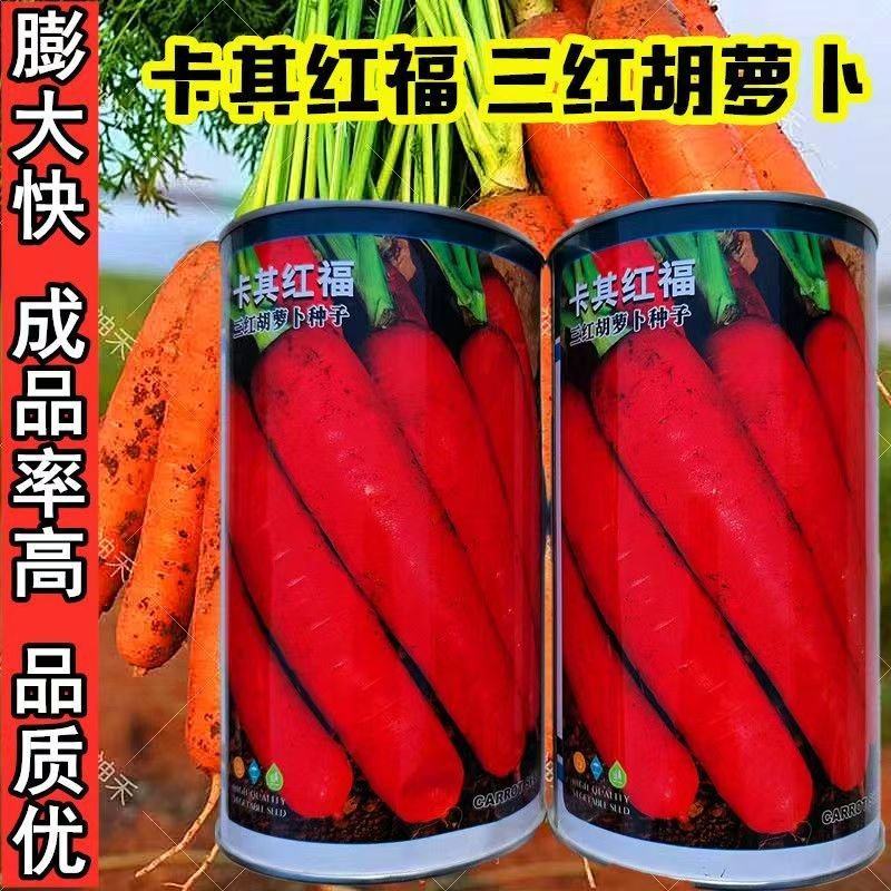 卡其红福红胡萝卜种子甜脆高产夏季秋季易播农家胡萝卜籽蔬菜