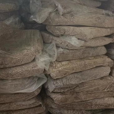 餐厨黑水虻水洗冻虫速冻锁鲜高蛋白水产宠物饲料