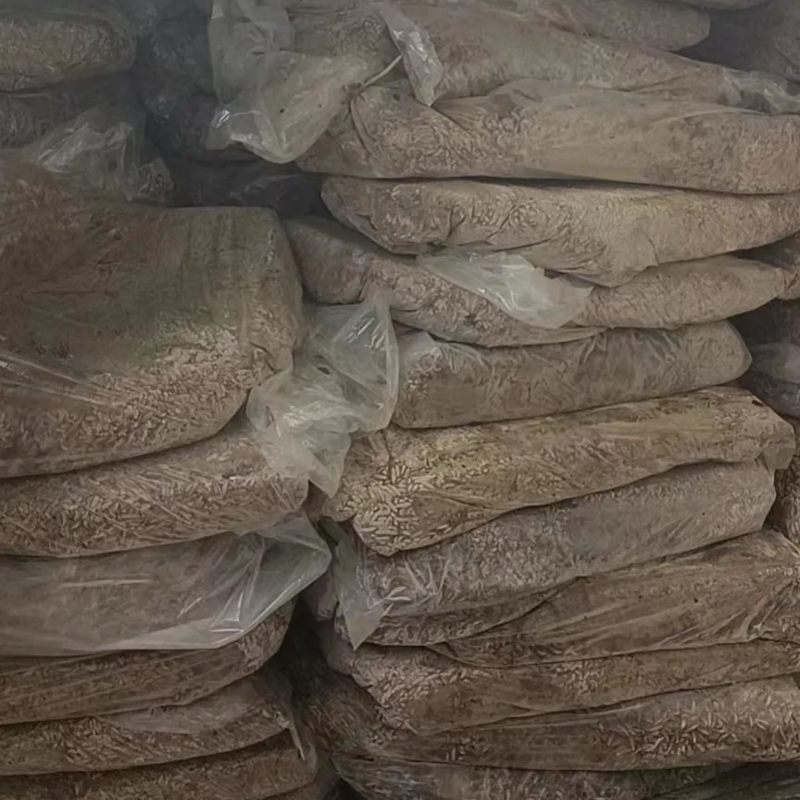 餐厨黑水虻水洗冻虫速冻锁鲜高蛋白水产宠物饲料