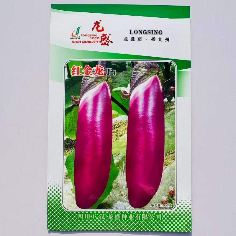 红金龙茄子种子杂交一代早熟紫红皮粗棒茄子种子肉质细嫩口感