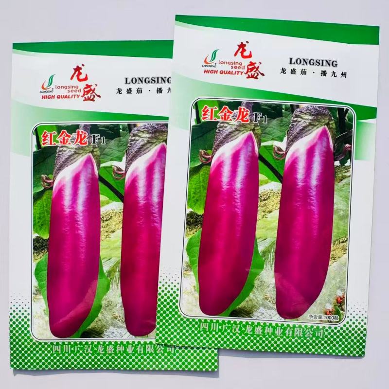 红金龙茄子种子杂交一代早熟紫红皮粗棒茄子种子肉质细嫩口感