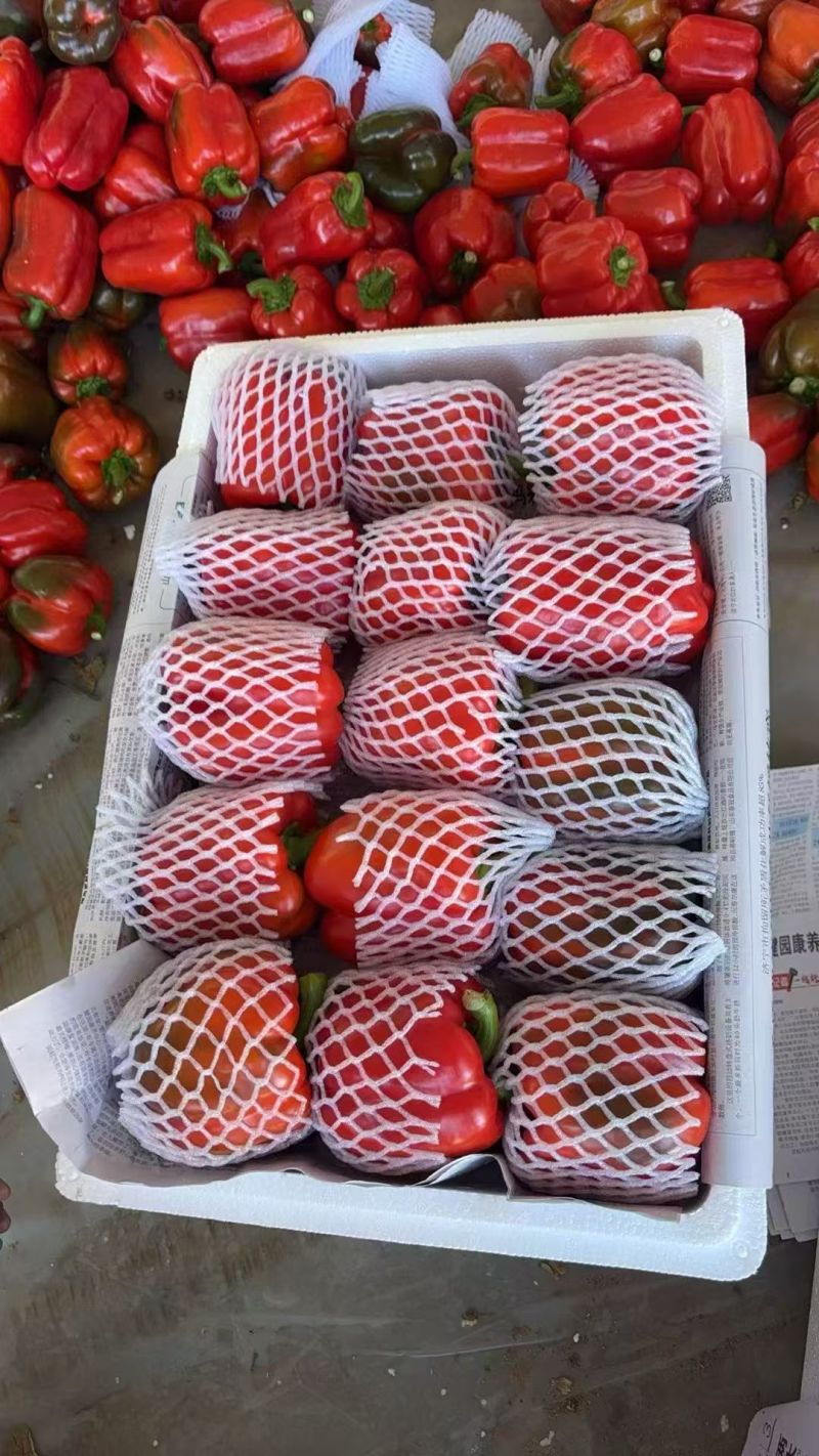 需要的联系，大量有货