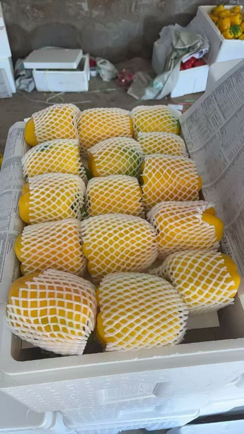 需要的联系，大量有货