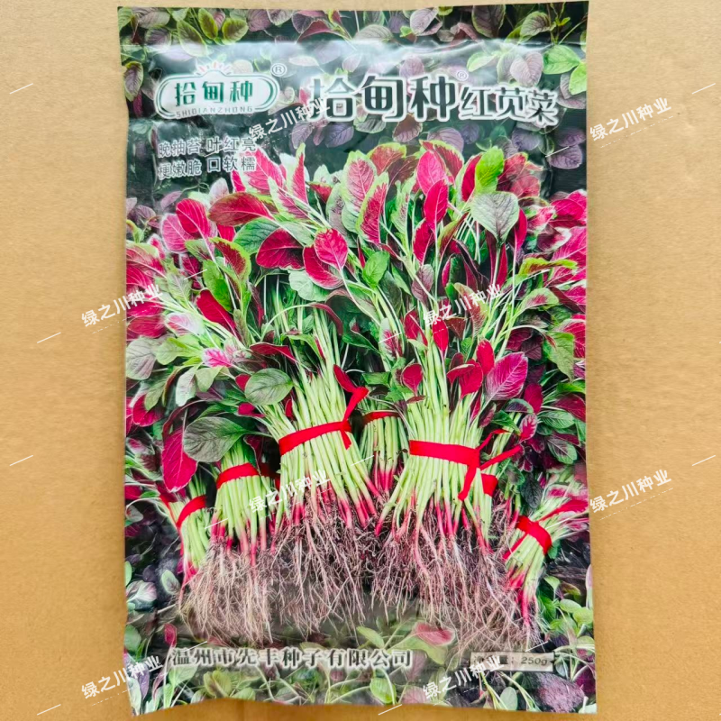拾甸种红苋菜种子耐抽苔叶红亮口感软糯汉菜种子花红苋菜种