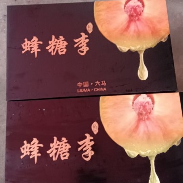正宗六马蜂糖李