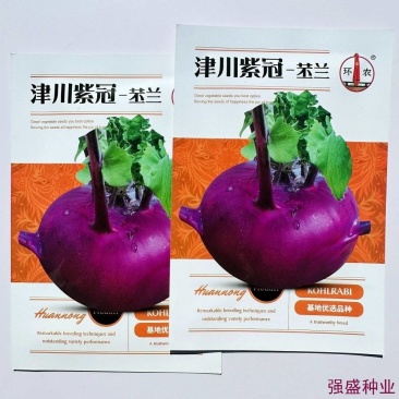 紫苤兰种子水果紫色芥蓝球茎甘兰种籽脆嫩芥兰头菜种春秋蔬菜