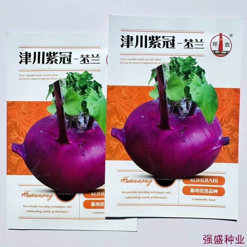紫苤兰种子水果紫色芥蓝球茎甘兰种籽脆嫩芥兰头菜种春秋蔬菜