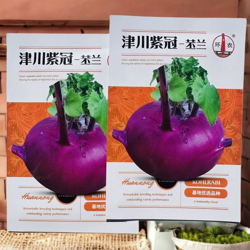 紫苤兰种子水果紫色芥蓝球茎甘兰种籽脆嫩芥兰头菜种春秋蔬菜