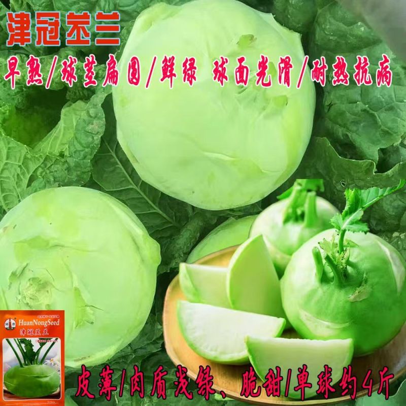 杂交苤种籽早熟皮薄肉质浅绿脆甜耐热苤兰菜种子基地专用