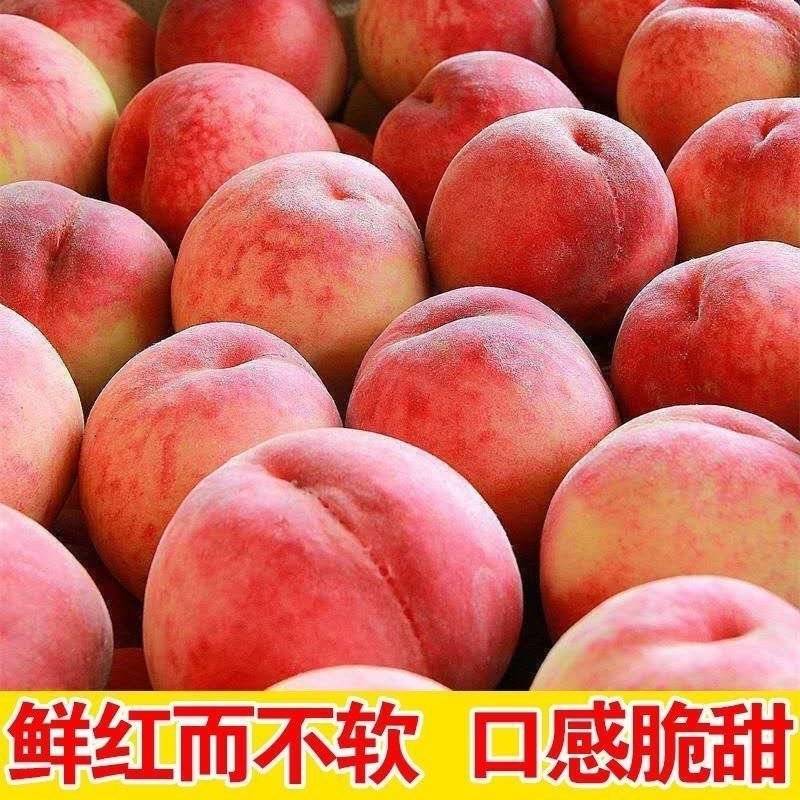 湖北突围桃/突围桃已大量上市基地供货，品质保证全国对接