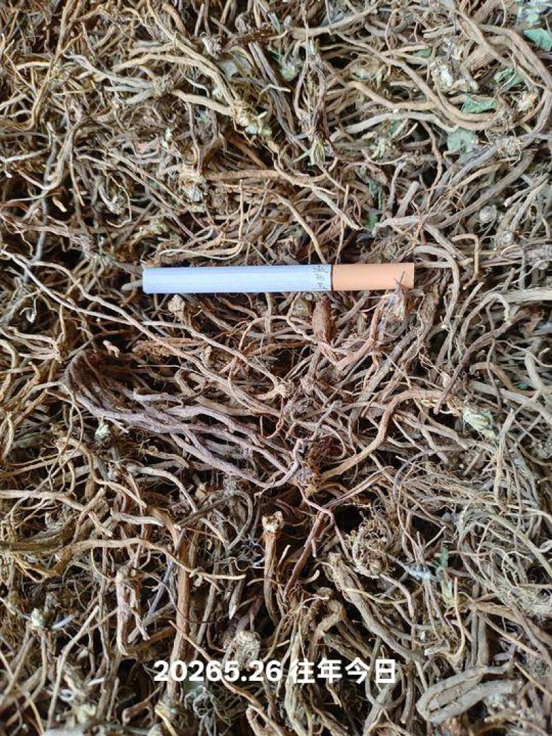 积雪草根，雷公根