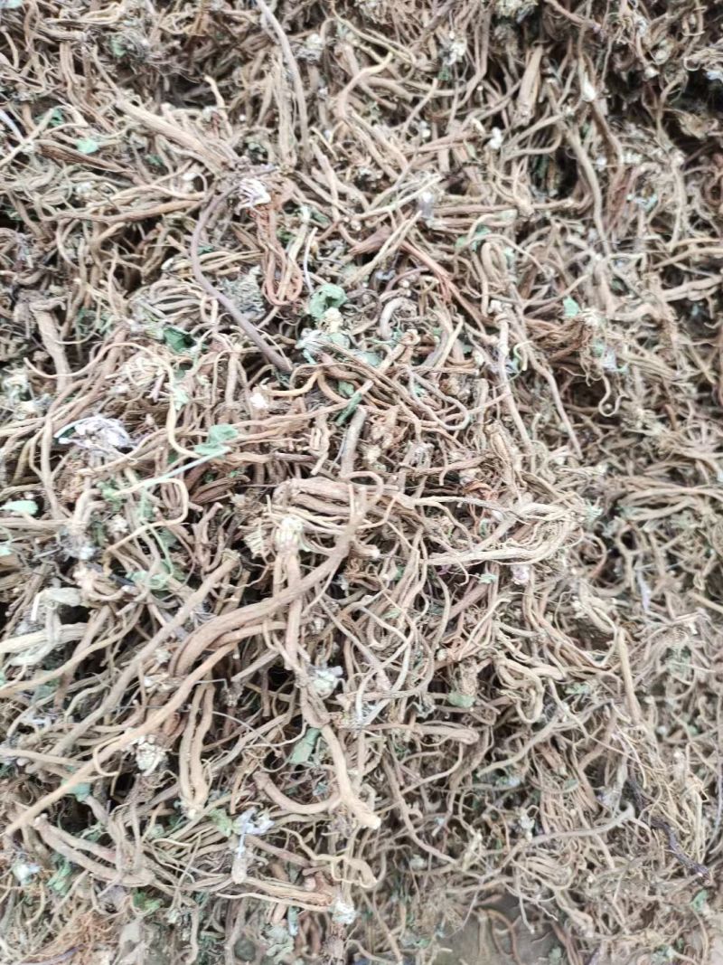 积雪草根，雷公根