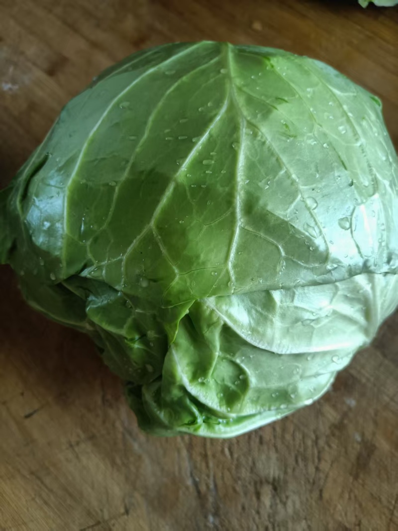 精品甘蓝