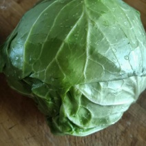 精品甘蓝