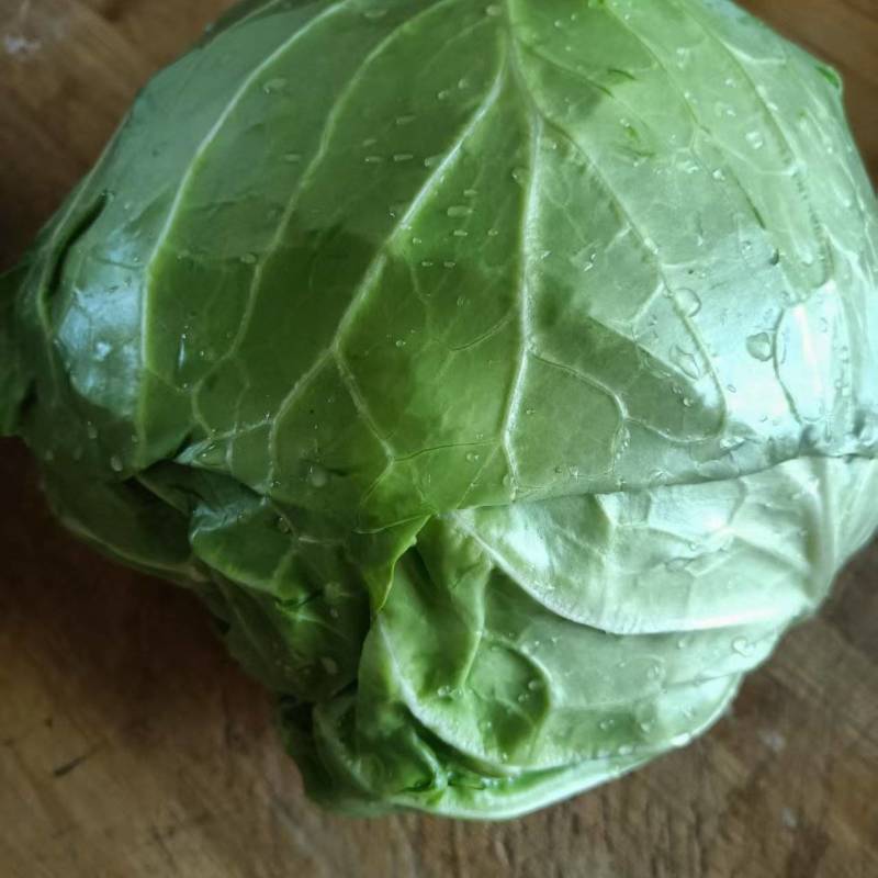 精品甘蓝