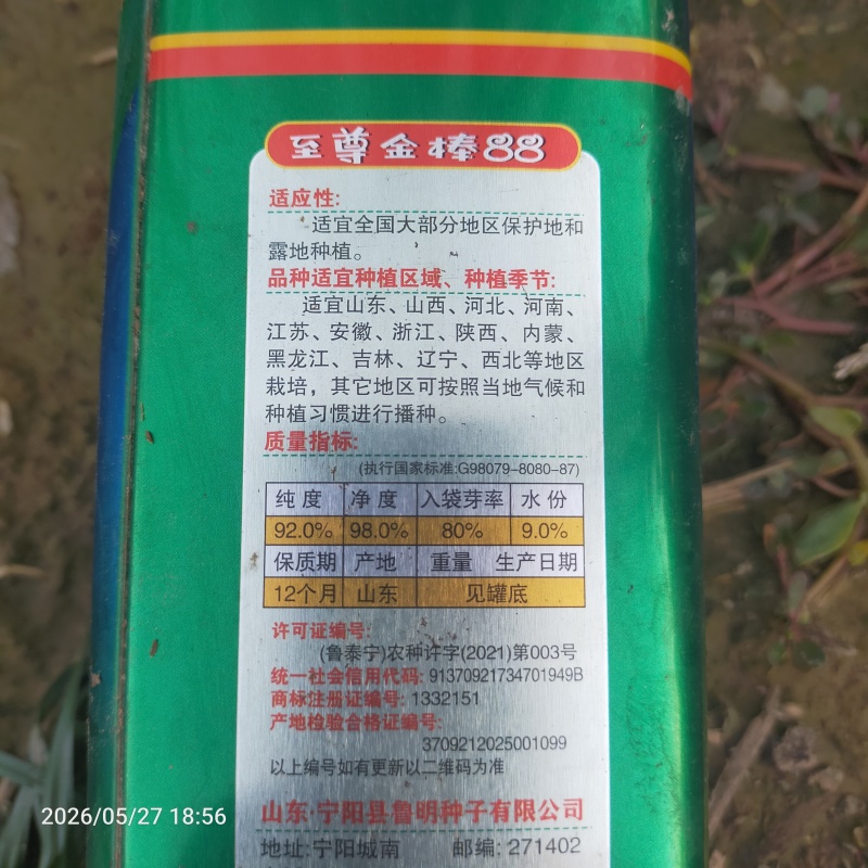 章丘大葱，葱苗