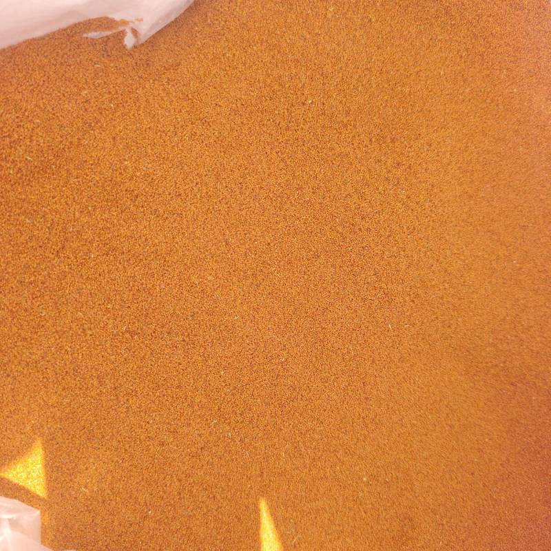 精品葶苈子净货可接单