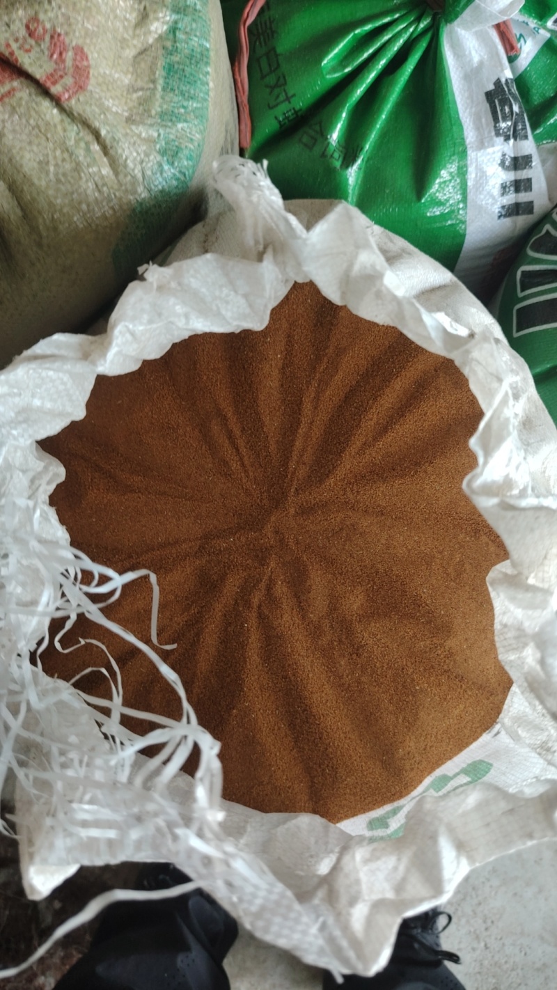 精品葶苈子净货可接单