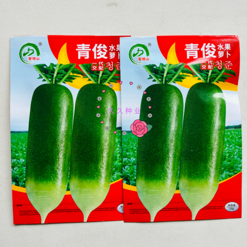 安地山青俊水果萝卜种子高产抗病耐寒早春秋农家小菜园种