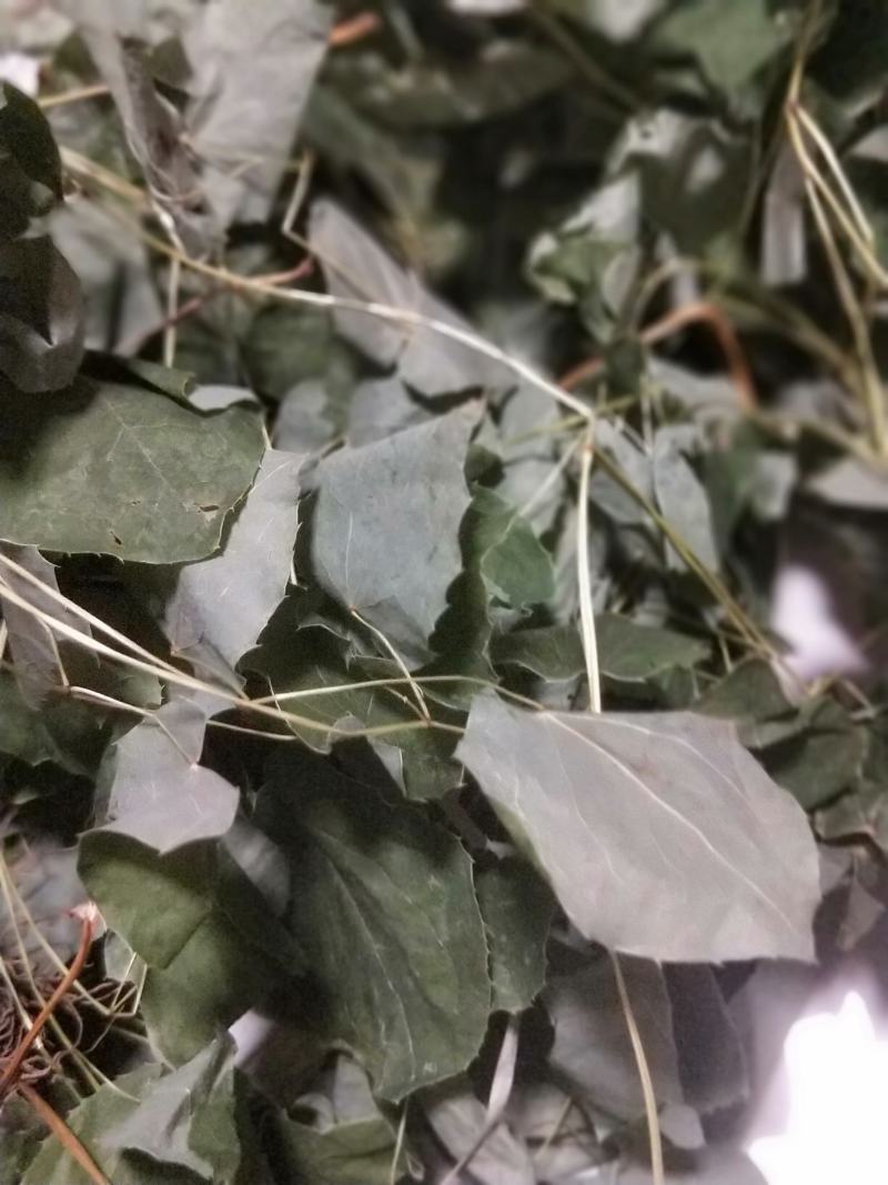 正宗小叶淫羊霍