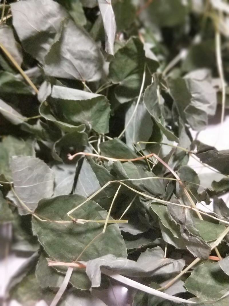 正宗小叶淫羊霍