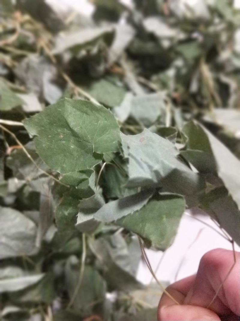 正宗小叶淫羊霍