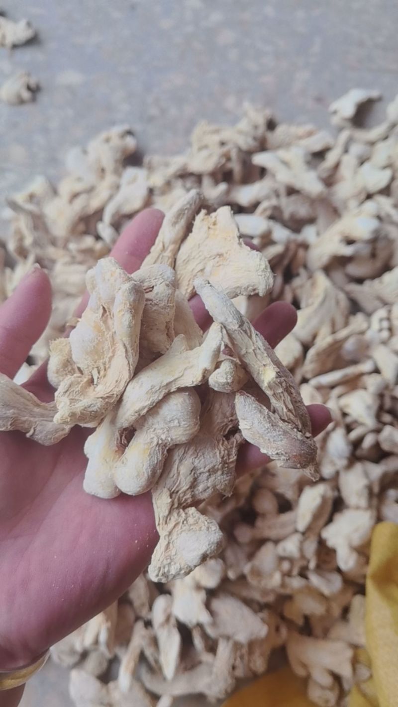 干姜块儿大量有货常年供应对接全国云南产地直发