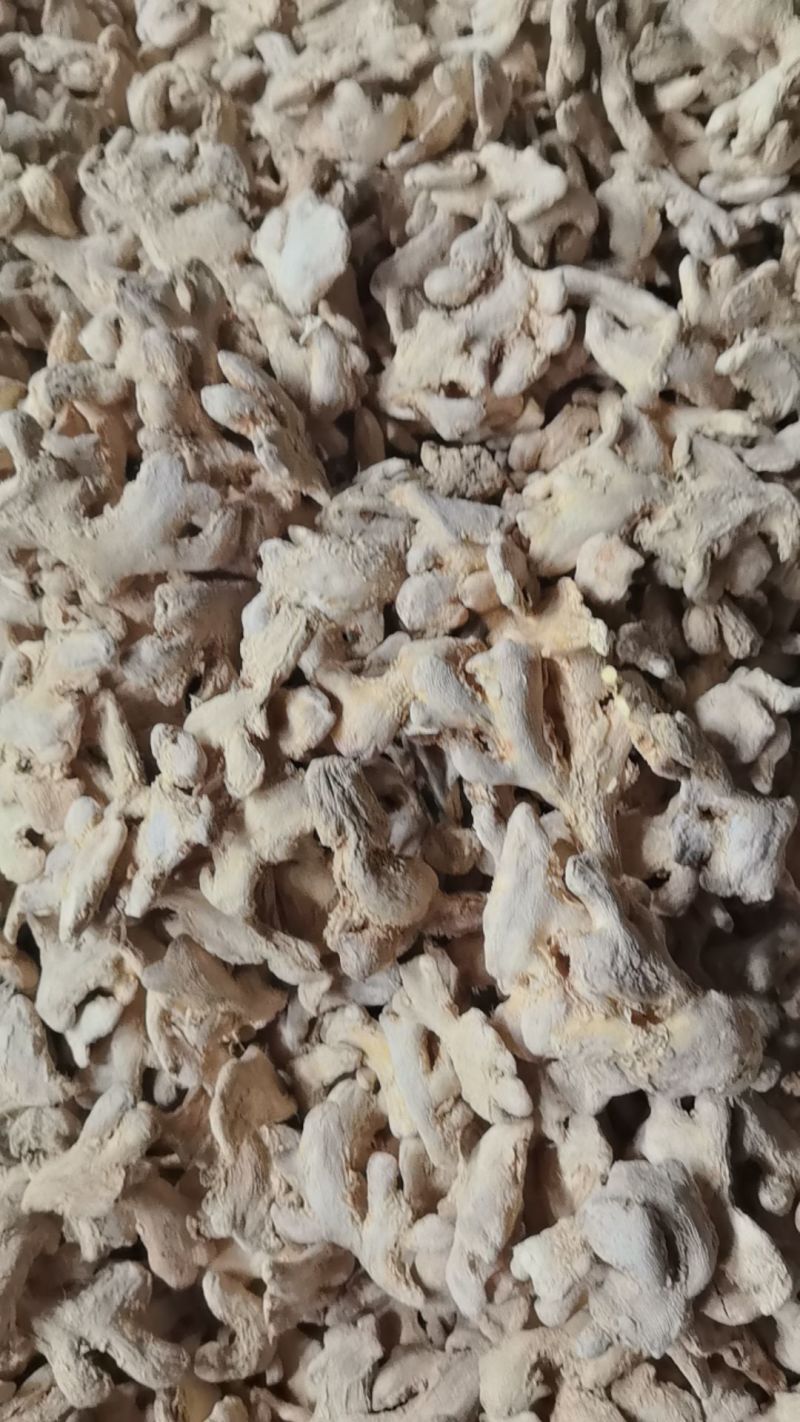 干姜块儿大量有货常年供应对接全国云南产地直发