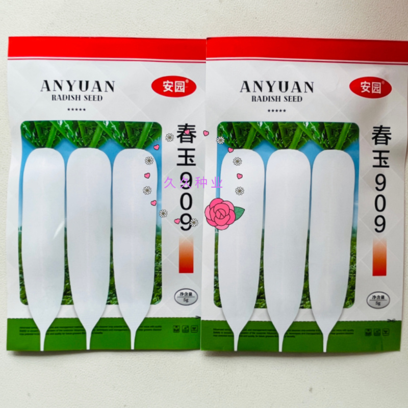 安园春玉909白萝卜种籽春秋播耐抽薹早熟高产抗病耐寒