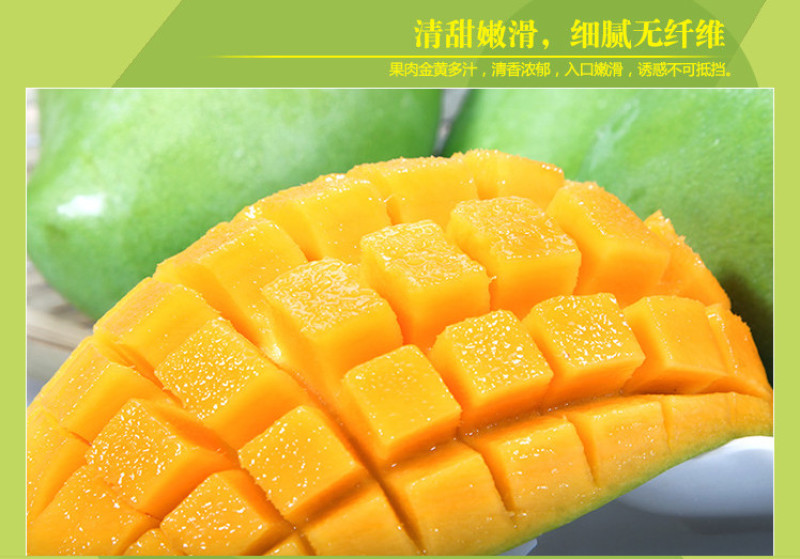云南大青芒电商货大量批发