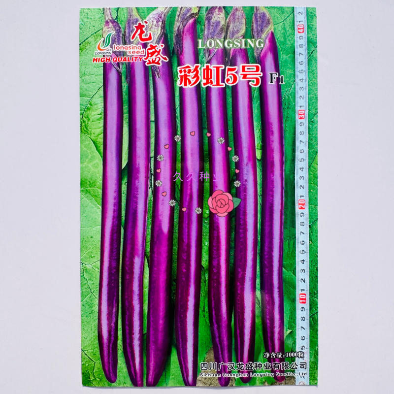 龙盛彩虹5号紫红油亮线茄种子长茄种籽长条茄果肉白色细嫩