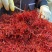 伊朗藏红花（西红花）