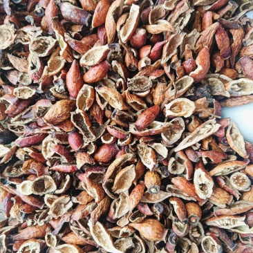 金樱子，酿酒用金樱子，药材用金樱子，大量供应全国