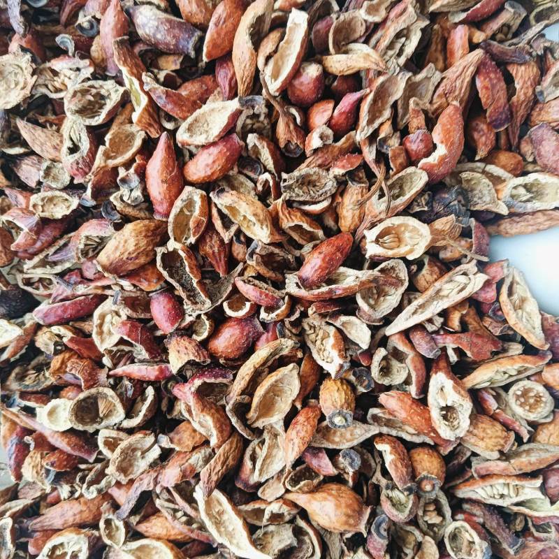 金樱子，酿酒用金樱子，药材用金樱子，大量供应全国