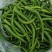 垫江县包家镇陆箭村茄子二荆条