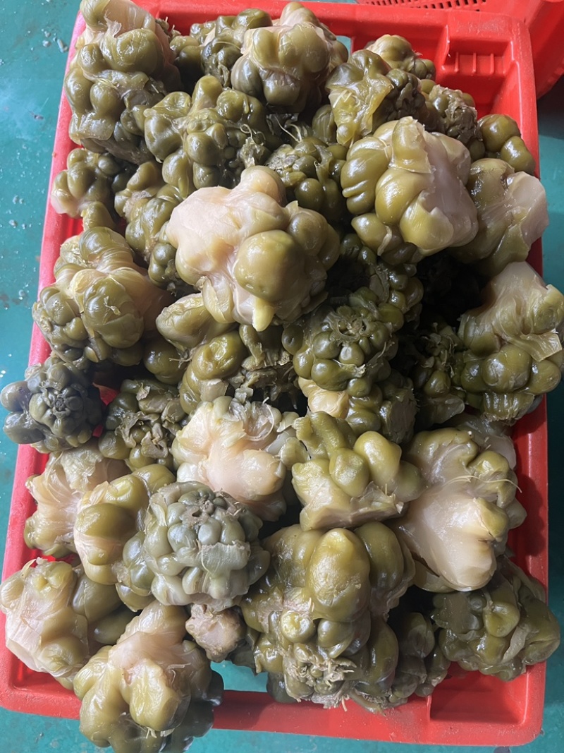 榨菜