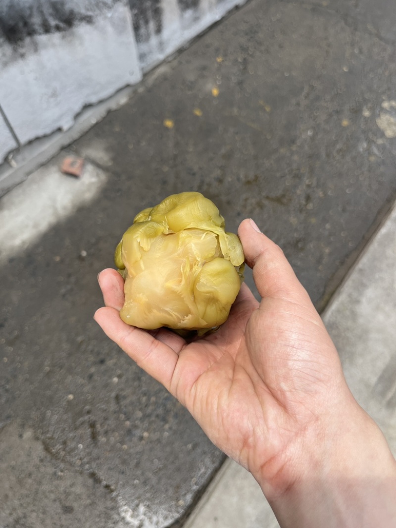 榨菜