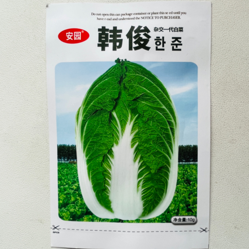 夏宝50耐热白菜种籽新品种结球紧实早熟耐储存大白菜种籽