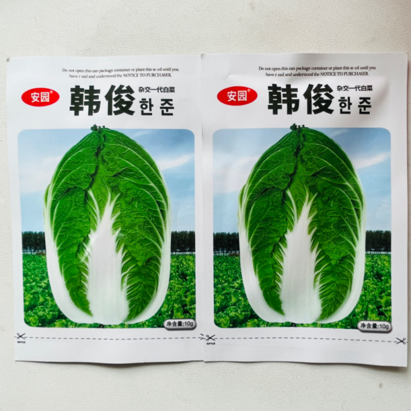 夏宝50耐热白菜种籽新品种结球紧实早熟耐储存大白菜种籽