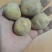 马尔科富硒小土豆