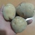 马尔科富硒小土豆