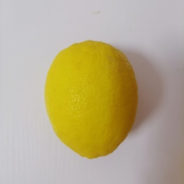 安岳黄柠檬批发