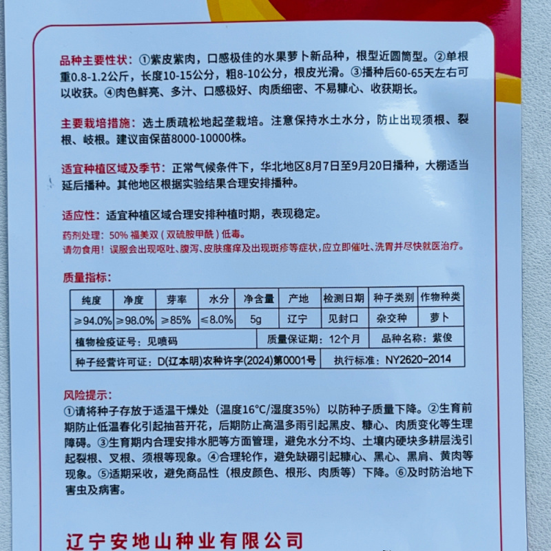 紫俊凤梨水果萝卜种籽清脆爽口果型整齐商品性好不易糠心大田