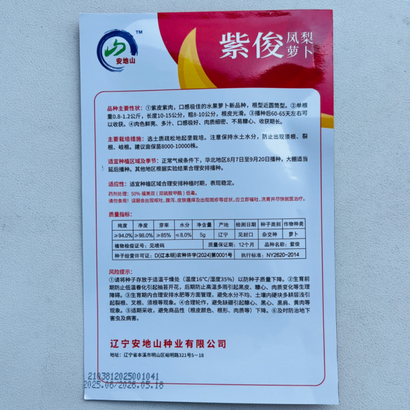 紫俊凤梨水果萝卜种籽清脆爽口果型整齐商品性好不易糠心大田